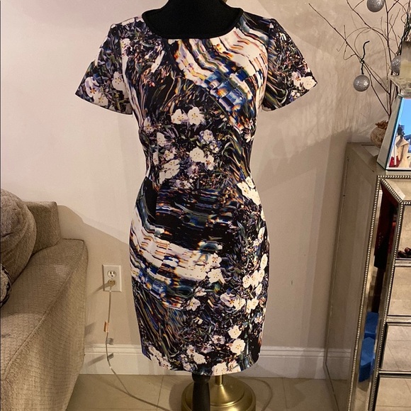 Sachin + Babi Dresses & Skirts - Sachin+Baby Floral Multicolor Women's Dress size 4